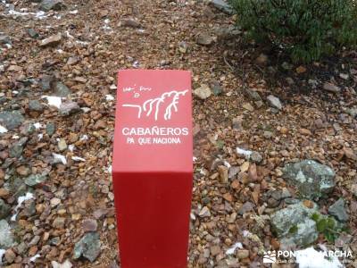 Pico Rocigalgo;Cascada Chorro,Cabañeros; puente del pilar cerezos en flor castillo de coca